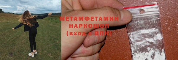 гидра Алексеевка