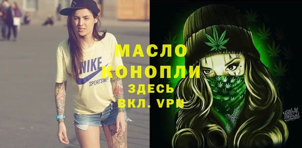 гидра Алексеевка